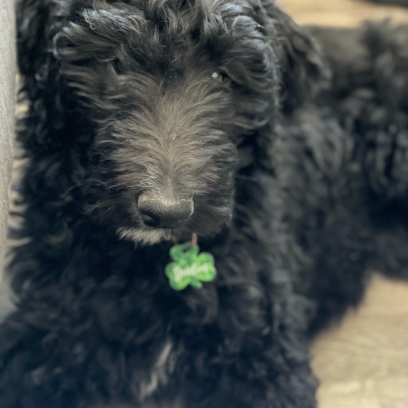 Hi there! I'm Dawn. - Picture 5 of 5